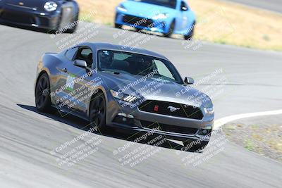 media/Jun-17-2023-Speed Ventures (Sat) [[a60324b5d0]]/4-Yellow/Turn 9/